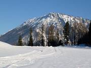 Piste de ski de fond Brandner au domaine skiable Unternberg