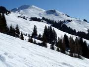 Domaine freeride Schwarzkogel