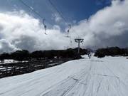 Piper T-Bar - Téléski à pioches