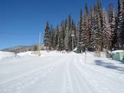 Pistes de ski de fond au SilverStar Mountain Resort