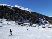 Grand espace débutants Kaserwald