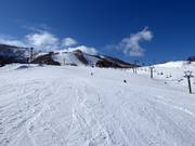 Descente vallée Kogen (Grand Hirafu)