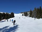 Piste n° 14 Knezevseke