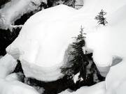 La neige naturelle abondante est la règle dans l’Espace Diamant.