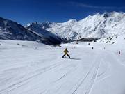 Piste d'entraînement dans le Snowland au tapis roulant