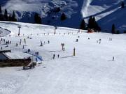 Espace débutant au téléski Ludy