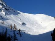 Traces dans la poudreuse de Fieberbrunn