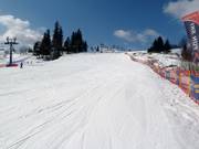 La piste facile de Witów