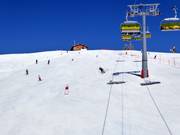 Partie supérieure de la descente Coupe du monde Lauberhorn