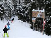 Bon plan pour les enfants :  - Parcours pour enfants « Auf den Spuren der Wildtiere » (sur les traces des animaux sauvages)