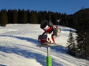 Canon à neige performant