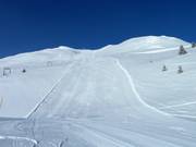 Des rêves de carving au Windegga