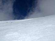 Descente Rendezvous Bowl