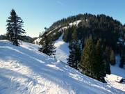 Descente depuis l’Unternbergalm
