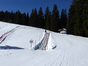 Baby Coston Fiorentini - Tapis roulant/Moving Carpet