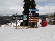 Signalisation des pistes