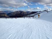 Piste facile Big Easy