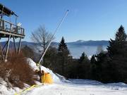 Enneigement au Hohenbogen