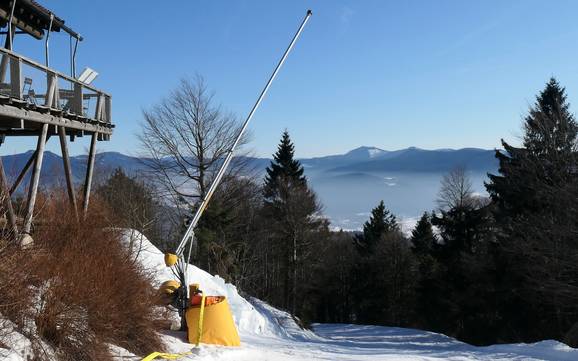 Fiabilité de l'enneigement Hohenbogenwinkel – Fiabilité de l'enneigement Hohenbogen – Neukirchen bei Hl. Blut