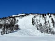 Piste à bosses S'en n° 33 (Geilohovda)