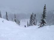 Des descentes raides au télésiège Milly Express