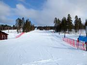 Piste facile Levi South