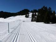 Piste de ski de fond Madilsrunde (Alp Tannenboden)