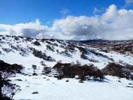 Perisher