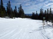 Piste très facile n° 16