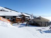 Chalet de restauration recommandé : Holzalm Brixen