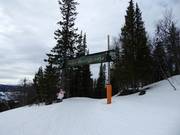 Bon plan pour les enfants : 