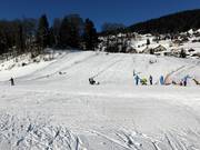 Piste de luge Wildhaus