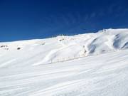 Vue depuis Pete's Treat sur le Saddle Basin