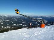 Enneigement complet à l'Arber