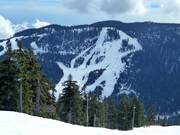Vue sur les pistes de descente du Black Mountain