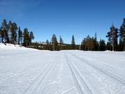 Pistes de ski de fond au stade Hellner