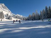 Descente vers la vallée