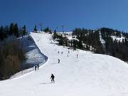 Piste moyenne Brandlabfahrt
