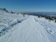 Départ de l’itinéraire de ski vers Bodenmais depuis le sommet de l’Arber