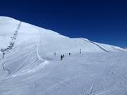 Large piste Gitsch (Gitschberg)