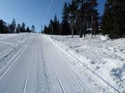 Maston Aitio - Télécorde/remonte-pente à câbles bas