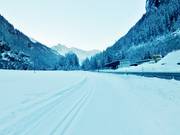 Piste de ski de fond dans la vallée
