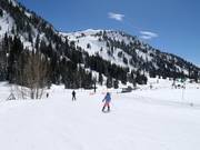 Piste facile au télésiège Snowpine