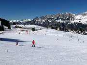 Pistes faciles près des téléskis Schwammkopf et Tannenboden