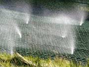 Les tapis sont humidifiés pour mieux glisser.