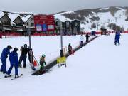 Tommy Knocker - Tapis roulant/Moving Carpet