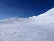 Piste facile n° 2 Wilder Mann