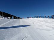 Piste d'entraînement au tapis roulant