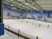 Vue sur la zone débutants depuis le télésiège