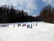 Débutants à l'hôtel Furano Prince
